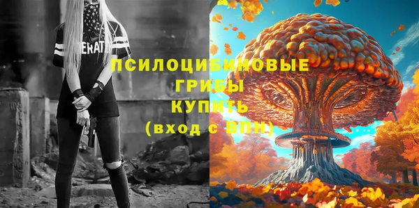 синтетический гашиш Коряжма